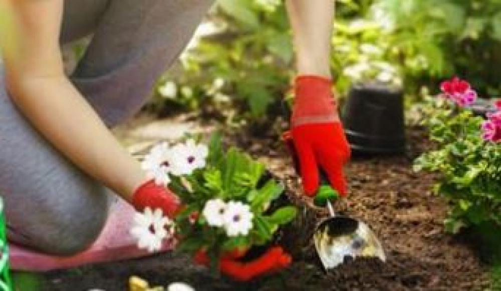 Entretien de jardin